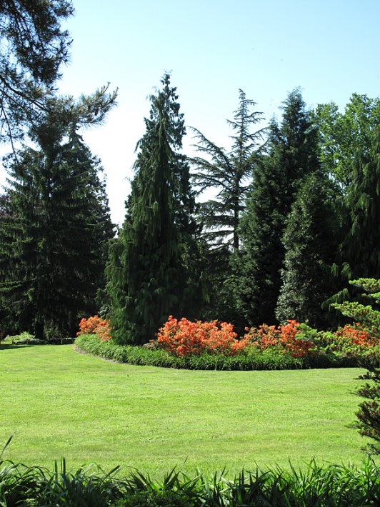 Wojsławice - Arboretum