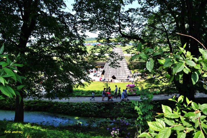 Wojsławice - Arboretum