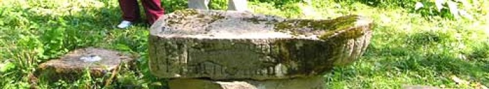 Beniowa - cerkwisko, kamień z wykutą rybą