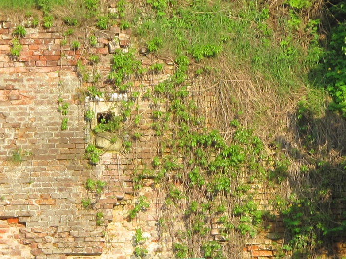 mury bastionu II