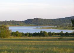 Jezioro Bukowskie - północno-wschodni brzeg zalewu