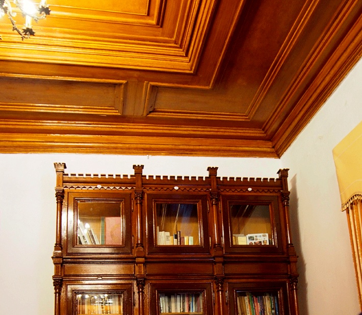 Pałac w Mosznej - biblioteka
