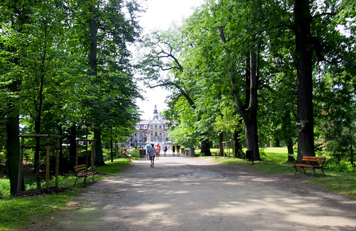 Pałac w Mosznej - ogród pałacowy, aleja lipowa