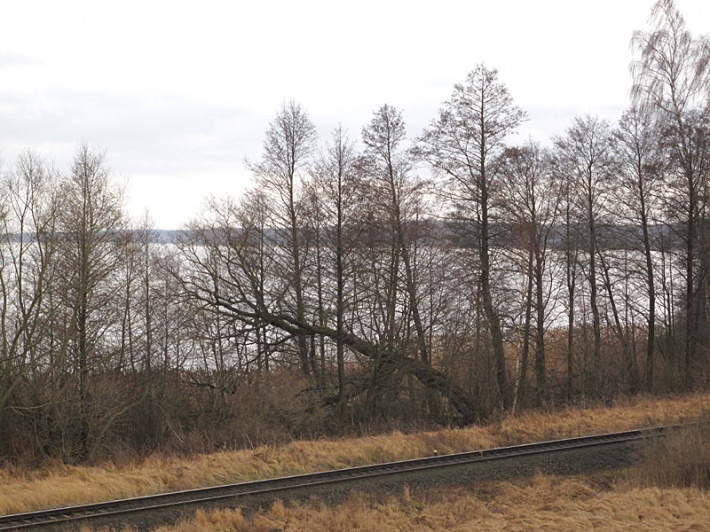 widok na jezioro Niegocin w kierunku Wilkas