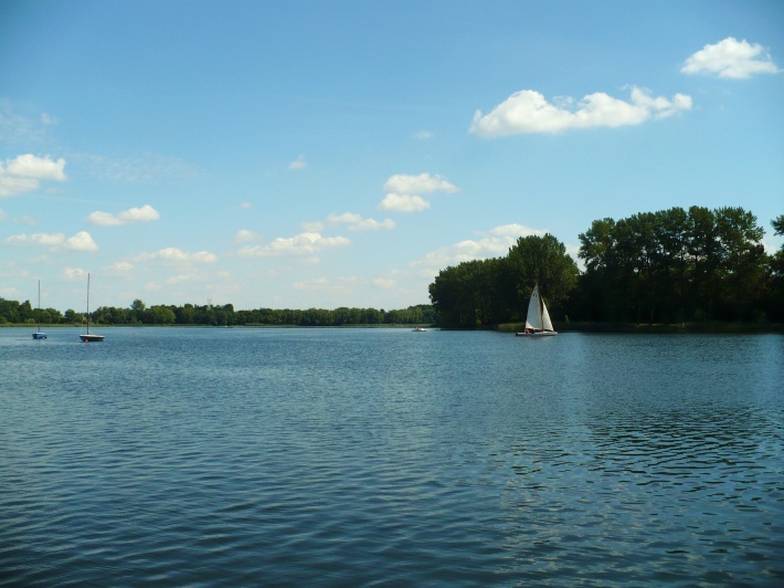 Jezioro Chełmżyńskie-żaglówki