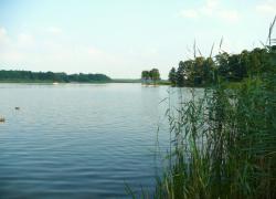 Jezioro Jezuickie koło Bydgoszczy