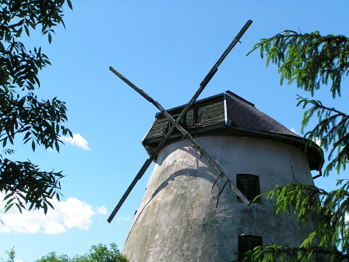 XIX wieczny wiatrak holenderski w Rynie