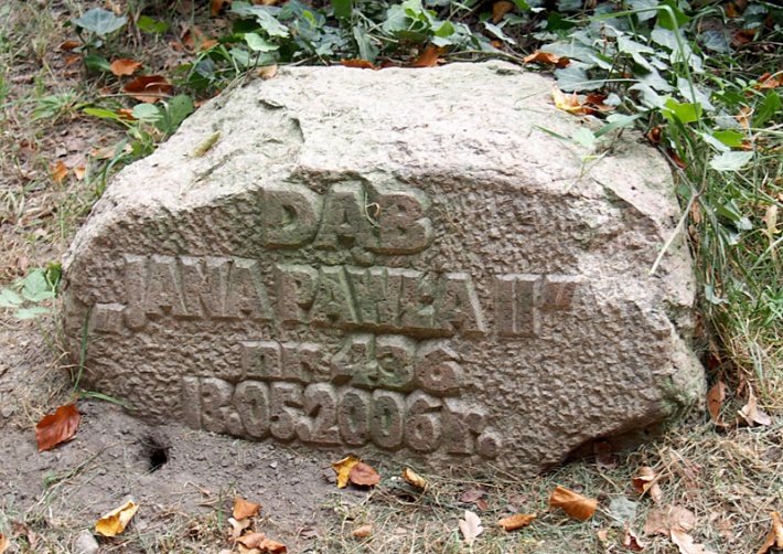 dąb Jana Pawła II w Parku Mużakowskim nad Nysą Łużycką, 2016