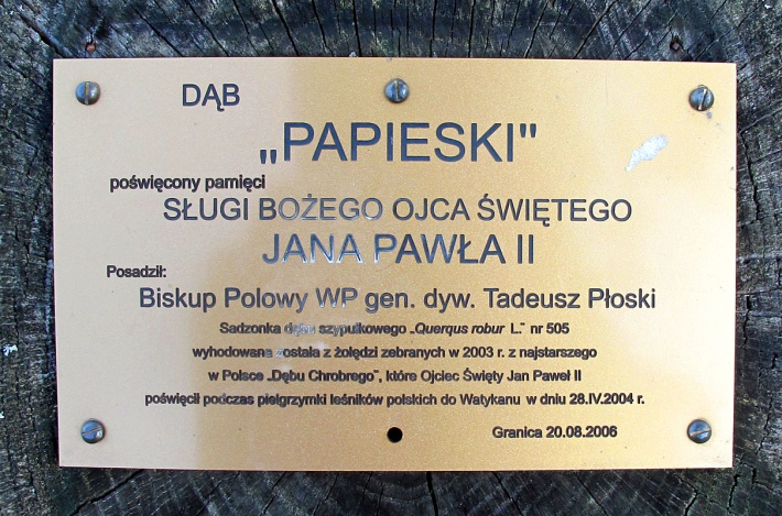 dąb Jana Pawła II w Granicy k. Kampinosu, Aleja Trzeciego Tysiąclecia, 2014