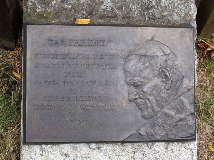 dąb Jana Pawła II w Parku Edukacji Ekologicznej w Górze, 2014