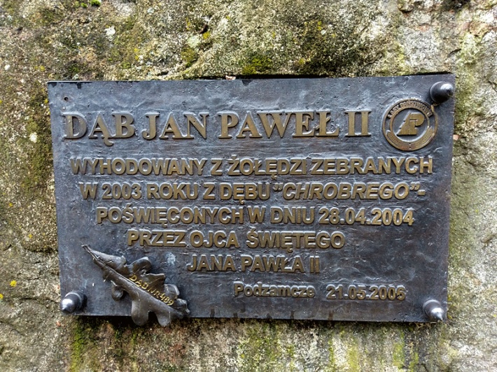 dąb Jana Pawła II w Podzamczu k. Maciejowic, listopad 2017