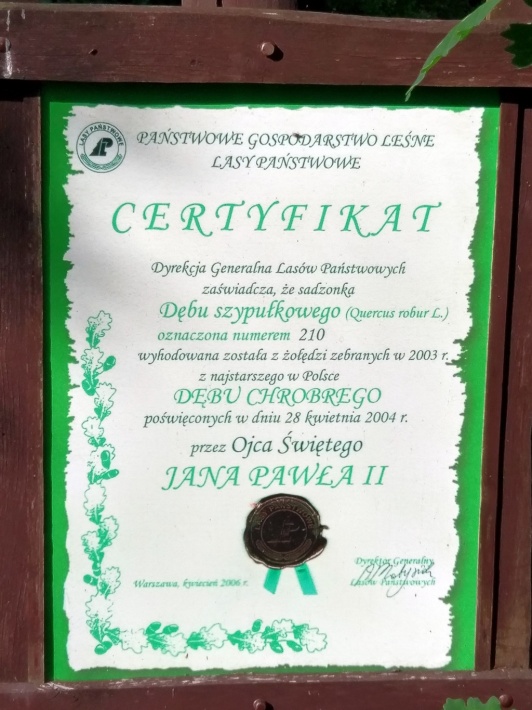 Dąb Jana Pawła II w Ogrodzie Dendrologicznym w Srokowie, 2017