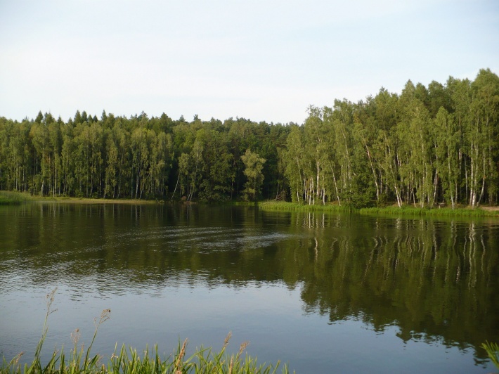 Jezioro Koronowskie-cieśnina i wyspa