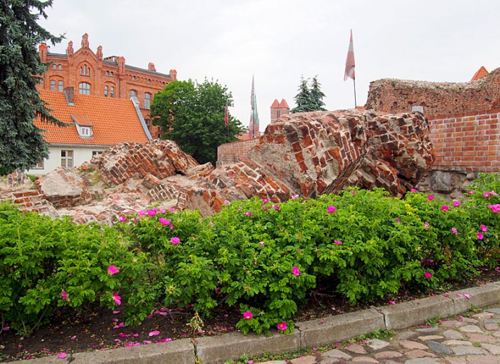 Toruń - ruiny zamku krzyżackiego