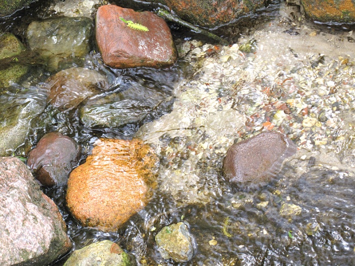 woda ze źródełka po kamieniach odpływa do rzeki