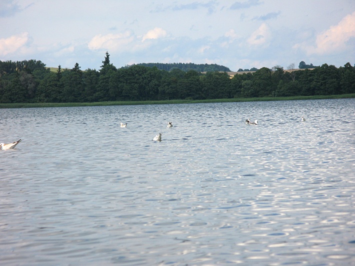 jezioro Lubie
