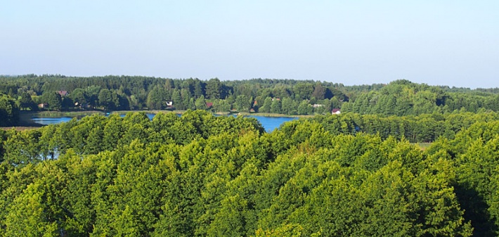widok z wieży zegarowej w Wigrach - zatoka jeziora Wigry