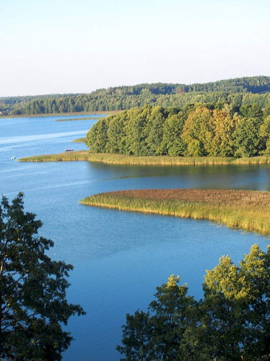 widok z wieży zegarowej w Wigrach -  zatoczki jeziora Wigry w pobliżu wsi Wigry i Magdalenowo