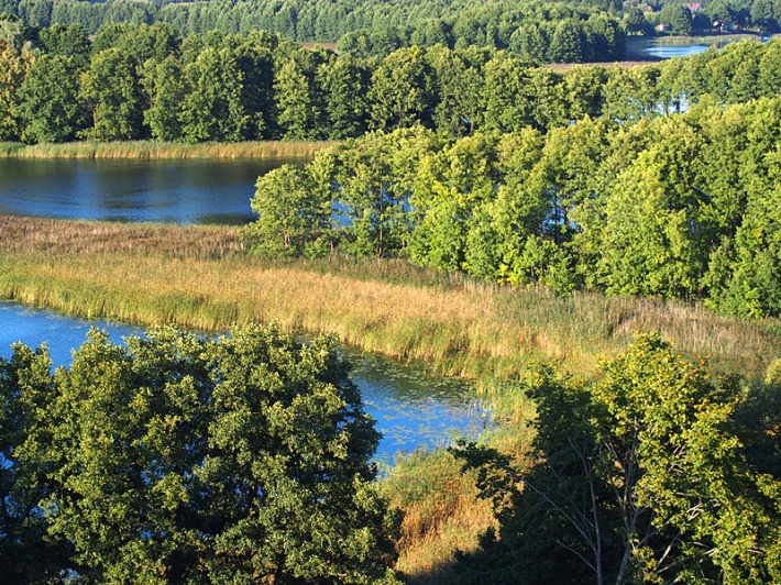 widok z wieży zegarowej w Wigrach - jezioro Wigry w okolicy wsi Wigry i Magdalenowo