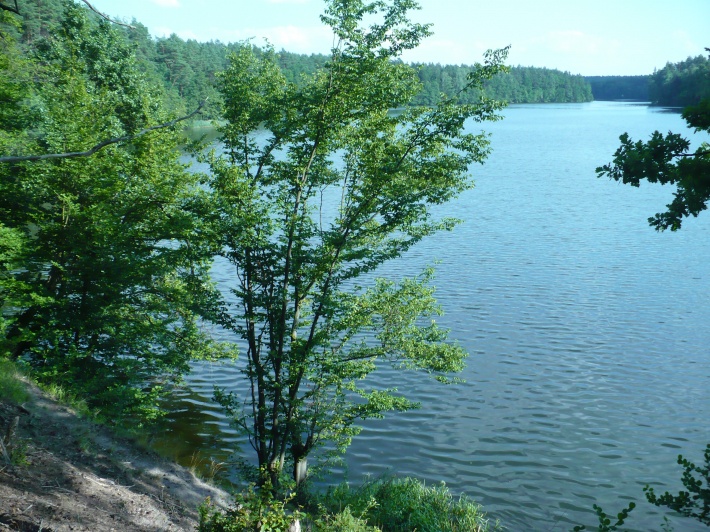 Jezioro Żurskie