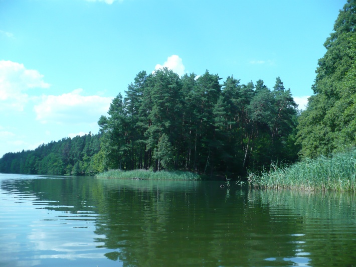Jezioro Żurskie-półwysep