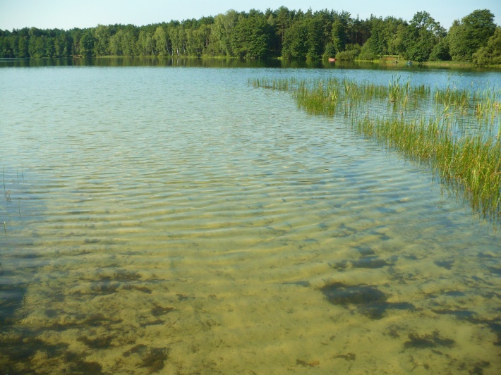 Jezioro Okonińskie słynie z czystej wody