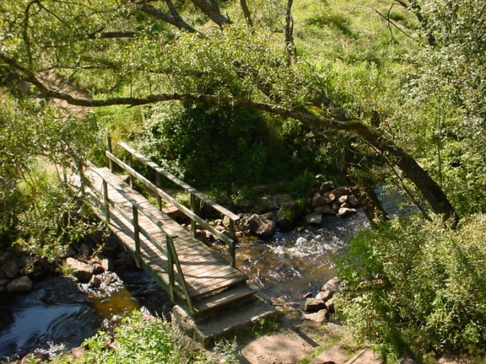 Kładka dla pieszych przez rzekę Sapinę umożliwia przejscie z jednego przęsła mostu na drugie
