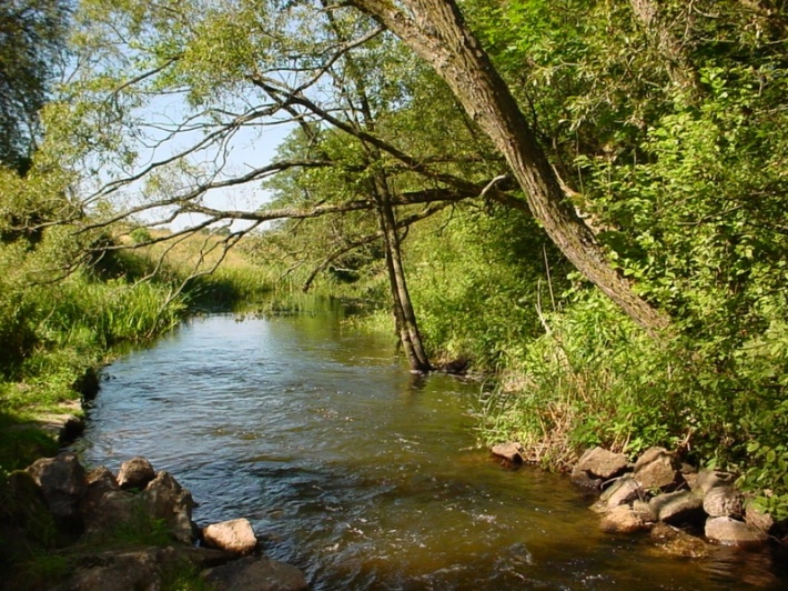 Rzeka Sapina jest coraz częściej postrzegana jako doskonałe miejsce do uprawiania form aktywnego wypoczynku