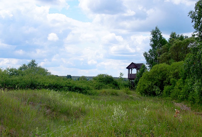 W Biebrzańskim Parku Narodowym - wieża obserwacyjna