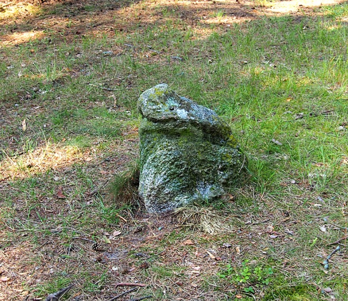 Kamienne kręgi w Węsiorach - unikatowe porosty naskalne