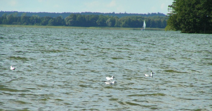 jezioro Dobskie