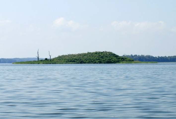 jezioro Dobskie - Wyspa Kormoranów