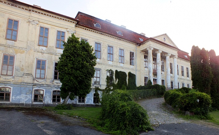 Pałac w Drogoszach