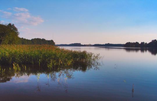 Jezioro Wojnowo od strony miejscowości Ruda