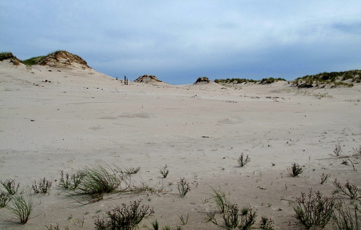ruchome piaski miejscami porośnięte trawą