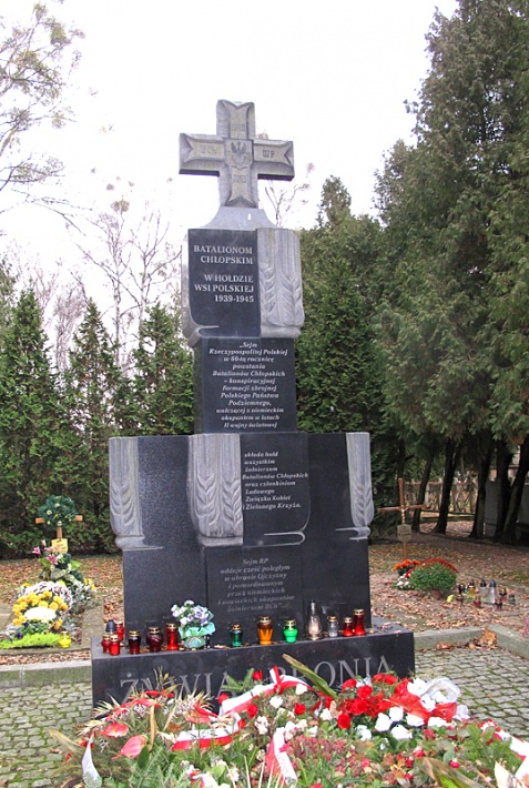 pomnik w hołdzie żołnierzom Batalionów Chłopskich