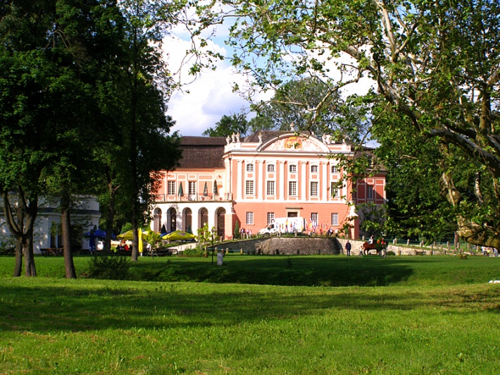 zamek w Kurozwękach