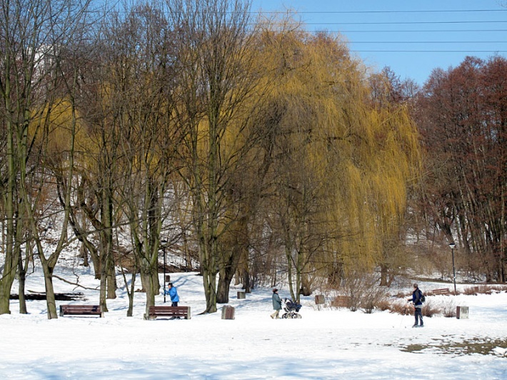 w parku Arkadia na Mokotowie - w oczekiwaniu na wiosnę