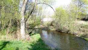 spływ kajakowy rzeką Wel