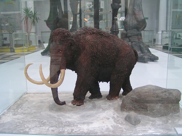 mini rekonstrukcja mamuta