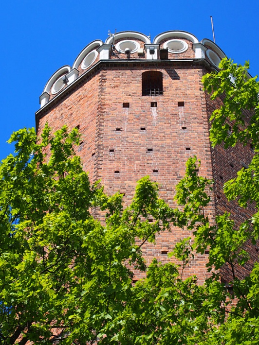 zamek królewski w Łęczycy - wieża Szlachecka