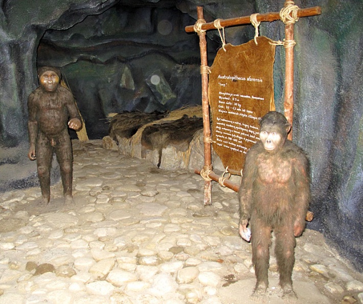 Park Jurajski w Łebie - grota australopiteków