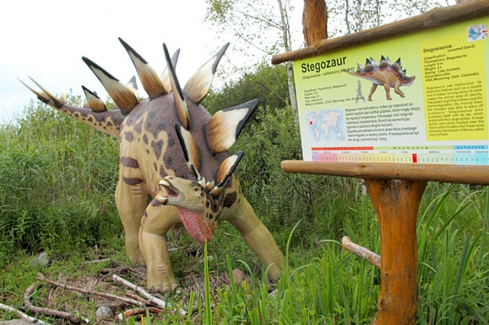 Park Jurajski w Łebie - Stegozaur