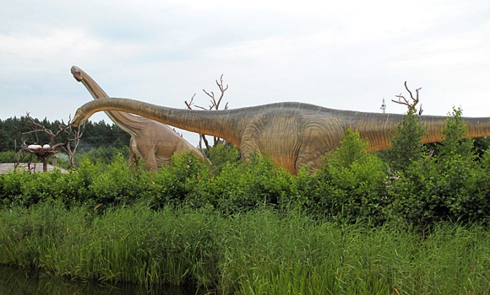 Park Jurajski w Łebie - Sejsmozaur i Brachiozaur