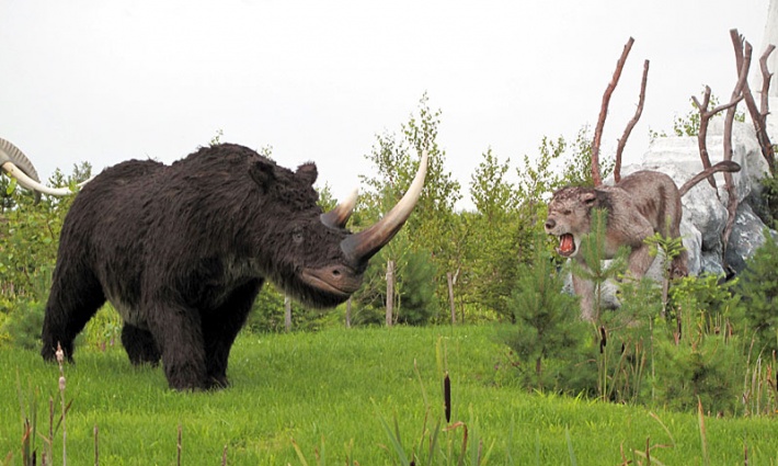 Park Jurajski w Łebie - nosorożec włochaty i tygrys szablozębny