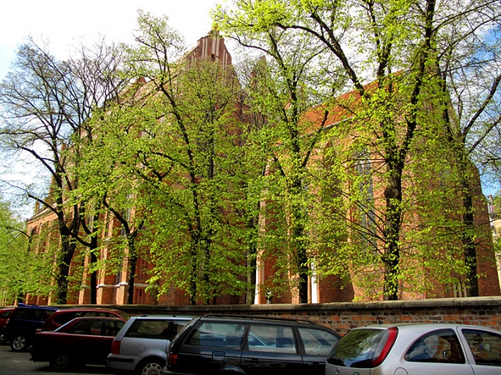 Katedra świętych Janów w Toruniu - widok od południowego wschodu