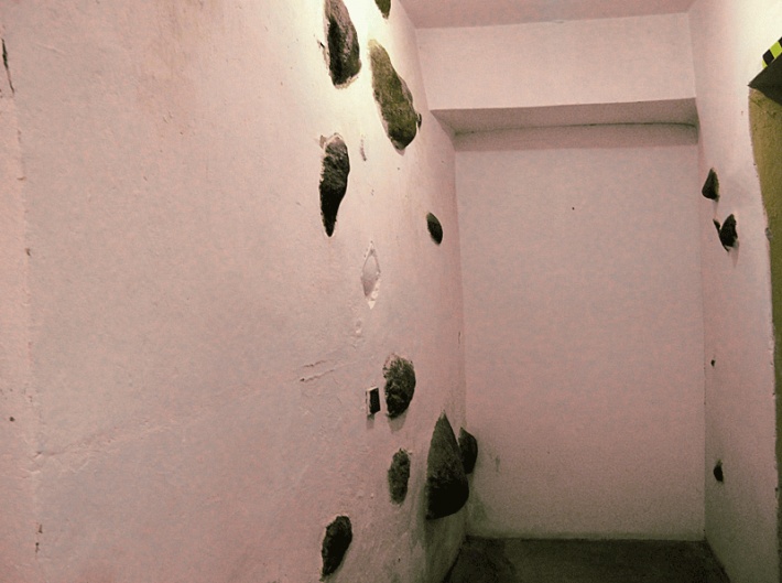 Głogów - zamek książąt głogowskich, kamienna ściana częściowo przykryta tynkiem w piwnicach zamkowych