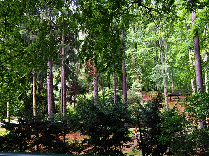 Park Zdrojowy w Głuchołazach