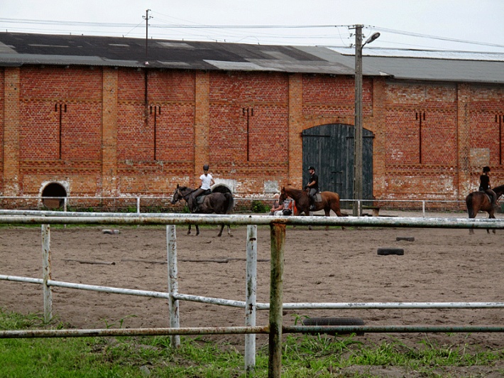 Zameczek w Nowęcinie - stadnina koni w zabudowaniach dawnego folwarku