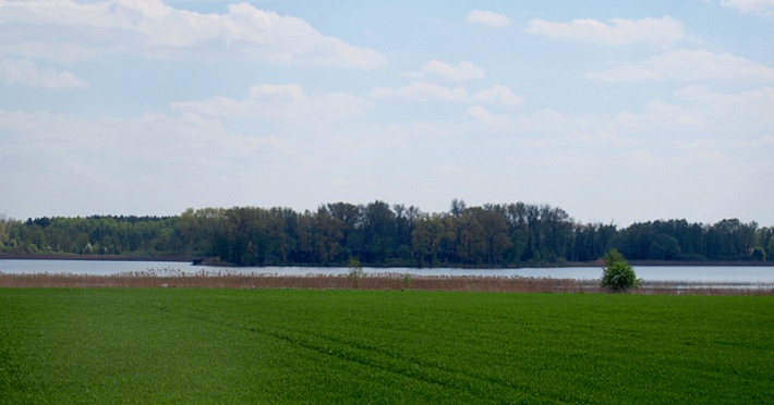 Jezioro Biskupińskie - w centralnej części półwysep z osadą łużycką
